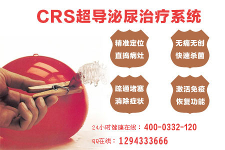 CRSϵͳ޴!