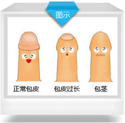 ת,ǸƤĺû!